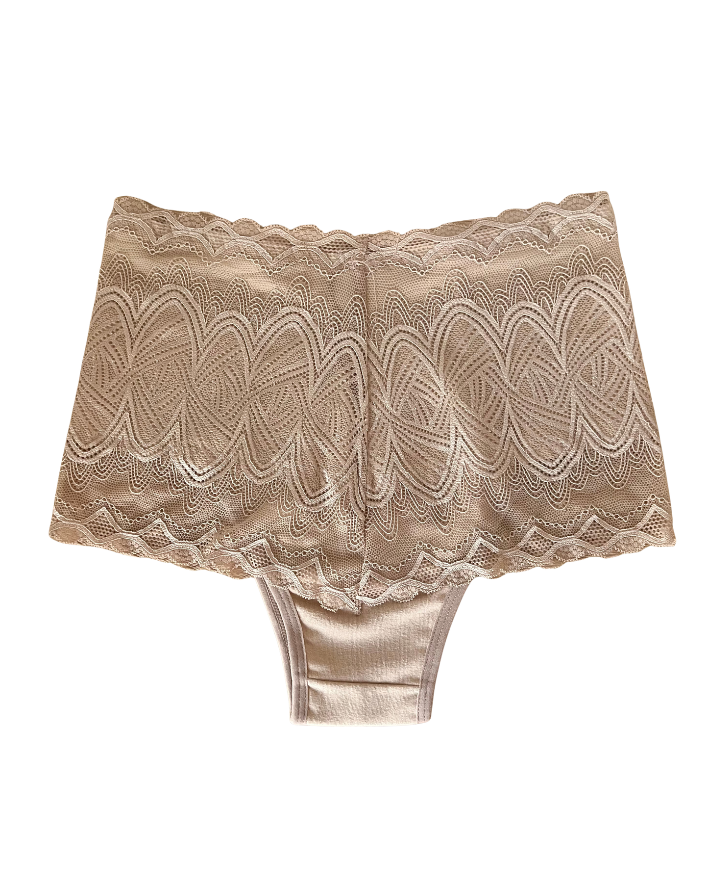 High-Waist Lace & Microfiber Thong